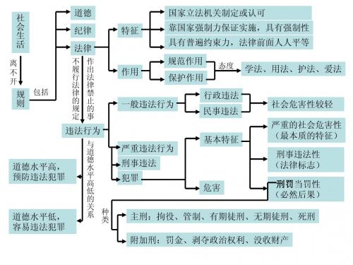 专题二 知法用法 自立自强 学过安全的生活思维导图