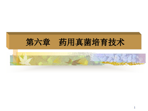 真菌培育技术PPT演示文稿