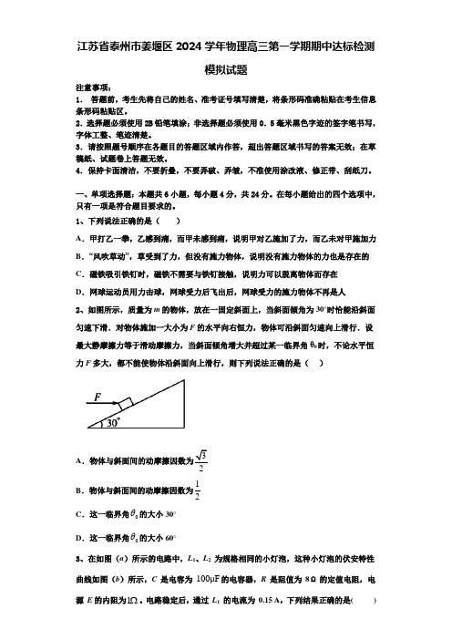 江苏省泰州市姜堰区2024学年物理高三第一学期期中达标检测模拟试题含解析