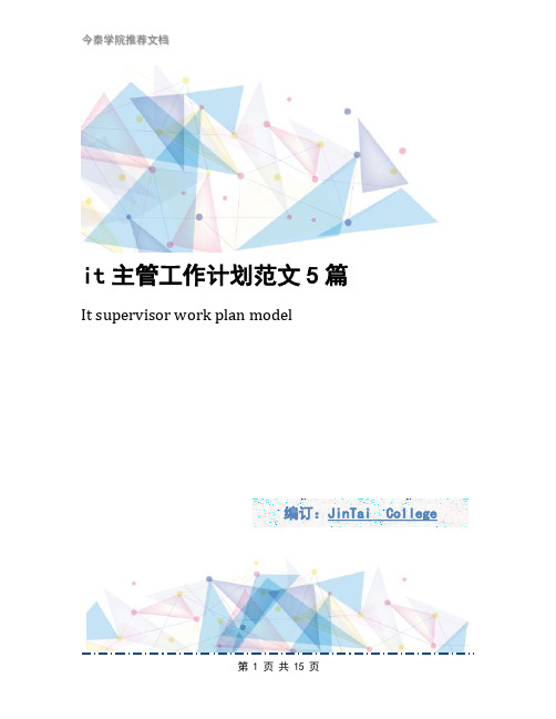 it主管工作计划范文5篇