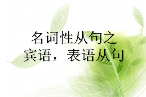 宾语,表语从句