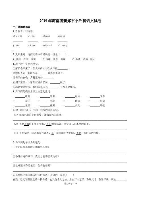 2019年河南省新郑市小升初语文试卷小学六年级毕业考试真题