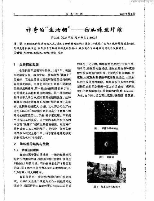 神奇的“生物钢”——仿蜘蛛丝纤维