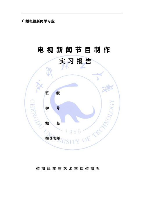 电视新闻节目制作实习报告-手动整理