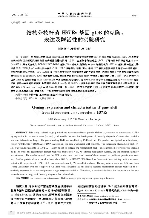 C结核分枝杆菌H37Rv 基因glcB 的克隆、
