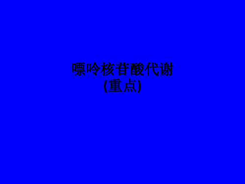 嘌呤核苷酸代谢(重点)ppt课件