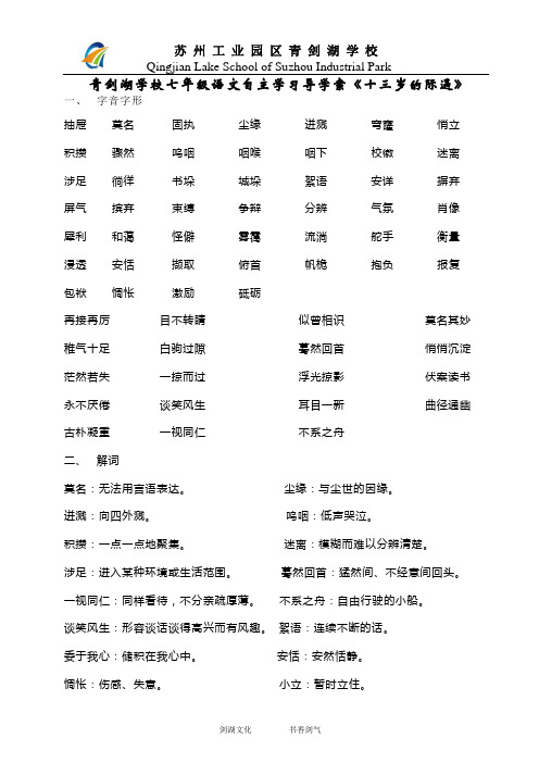 《十三岁的际遇》导学案
