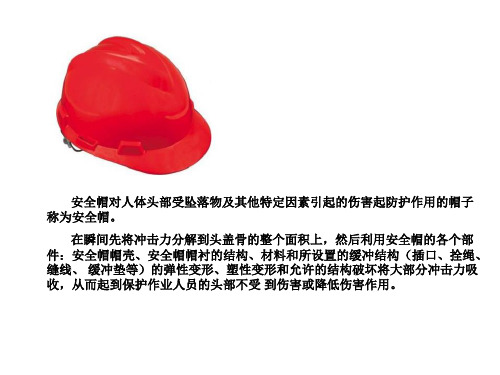 安全用品的使用.ppt