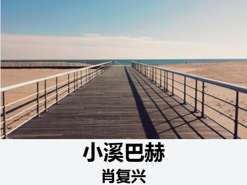 小溪巴赫优秀公开课课件