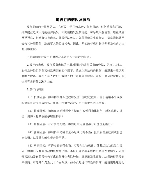 鹅跛行的病因及防治