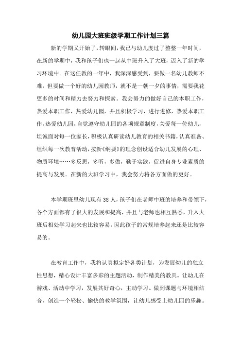 2020年幼儿园大班班级学期工作计划三篇