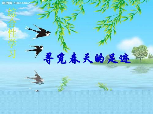 八年级下册第二单元—综合性学习寻觅春天的踪迹课件