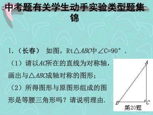 中考数学复习有关动手实验类型题集锦[人教版](教学课件2019)
