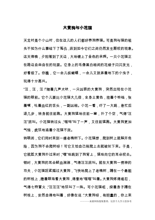 大黄狗与小花猫