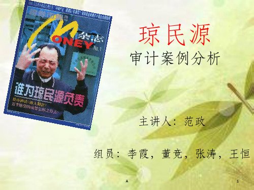 琼民源审计案例分析