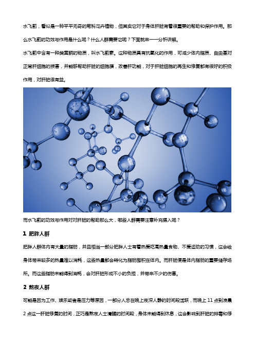 水飞蓟的功效与作用,这些人可以来看看