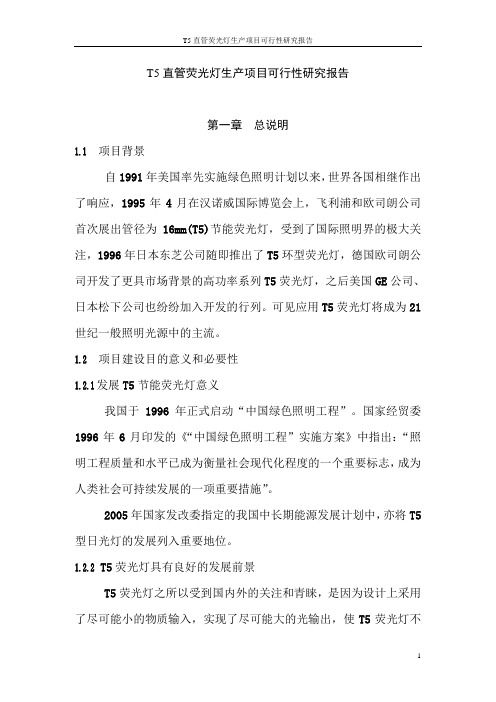 直管荧光灯生产项目可行性研究报告代项目建议书