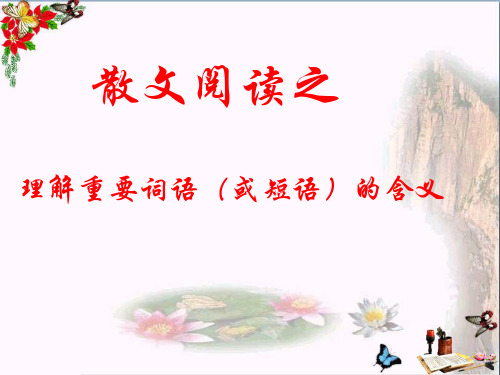 高考复习散文阅读之理解重要词语(或短语)的含义 PPT精品课件