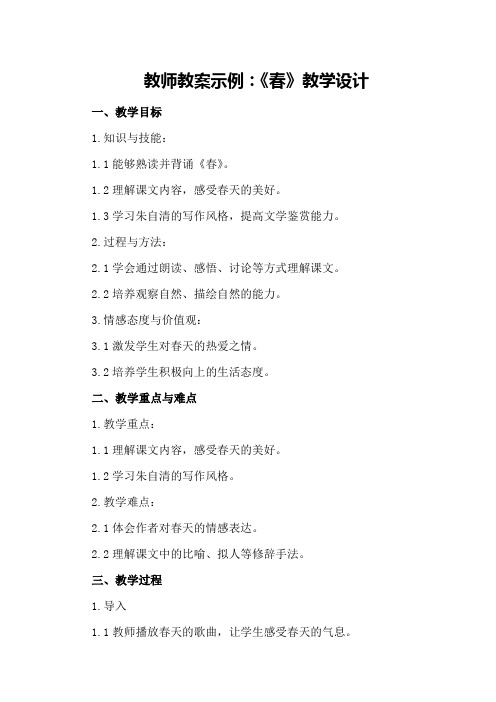 教师教案示例
