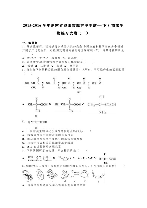 湖南省益阳市箴言中学2015-2016学年高一下学期期末生物练习试卷(一) 含解析