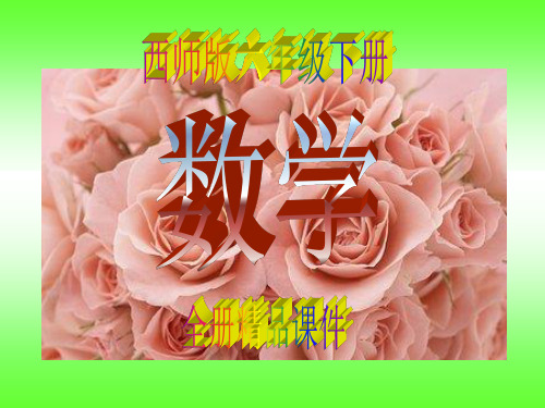【新】西师大版小学6六年级数学下册全套优秀ppt课件【完整】