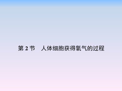 北师大版七年级下册生物 10.2人体细胞获得氧气的过程 课件 (共21页)