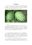 西瓜贮藏保鲜技术