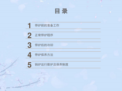 垃圾焚烧锅炉停炉操作及维护保养正式版PPT文档