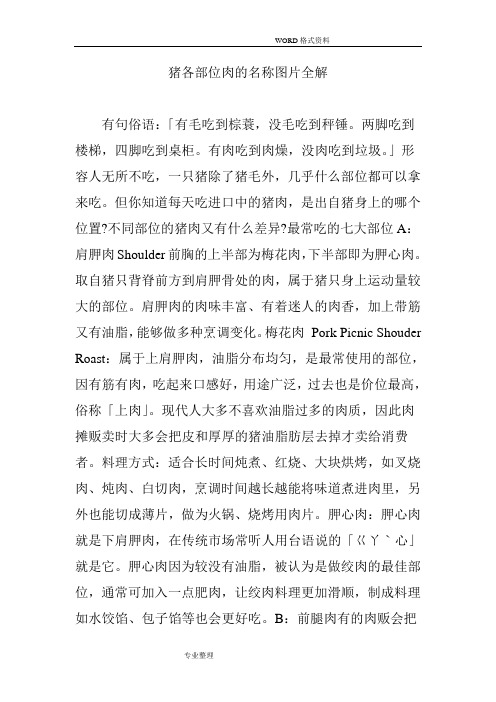 猪各部位肉的名称图片全解