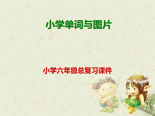小学英语词汇总复习精品PPT课件 图文