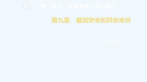 2022高考生物一轮复习第一部分必修基础巩固与提升第九章第三节常用育种方法课件新人教版