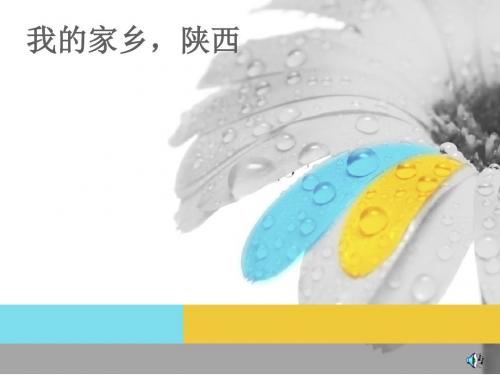 陕西文化