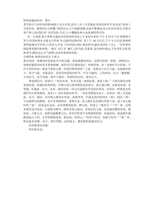 钓鱼的最佳时间