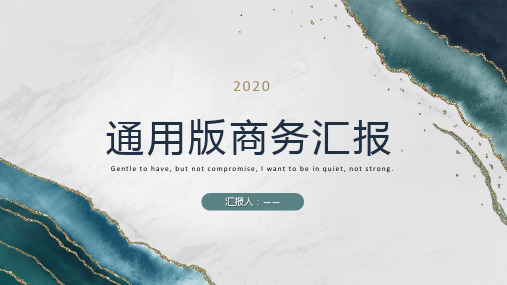 2020简约淡蓝色通用商务汇报总结ppt