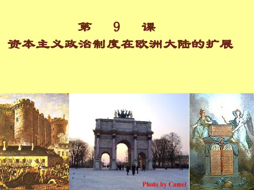 高中历史必修1《第三单元 近代西方资本主义政治制度的确立与发展第9课 资本主义政治制度》567人教PPT课件