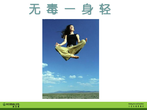 无毒一身轻修改版