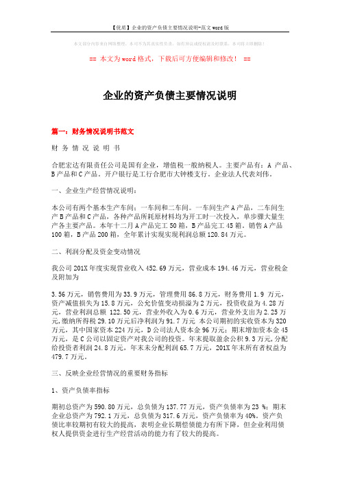 【优质】企业的资产负债主要情况说明-范文word版 (4页)