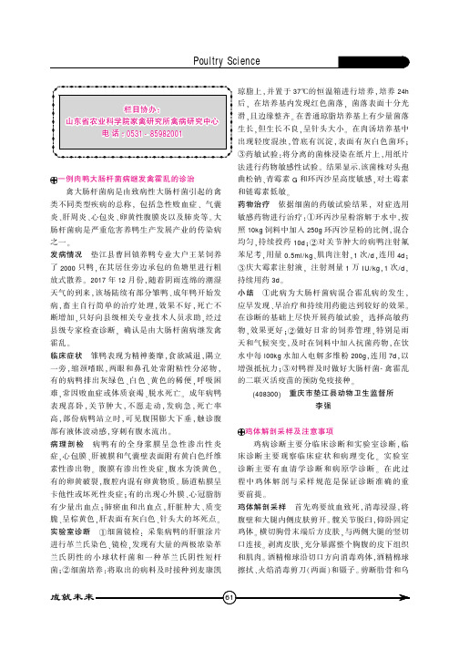 鸡体解剖采样及注意事项