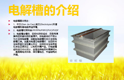 电解槽的介绍