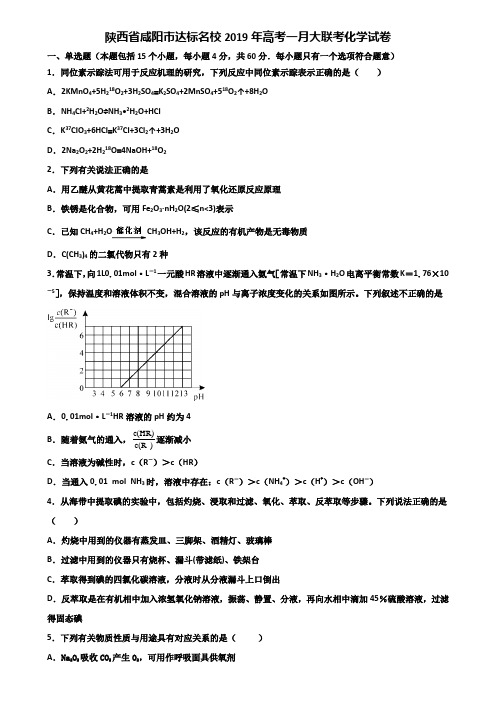 陕西省咸阳市达标名校2019年高考一月大联考化学试卷含解析