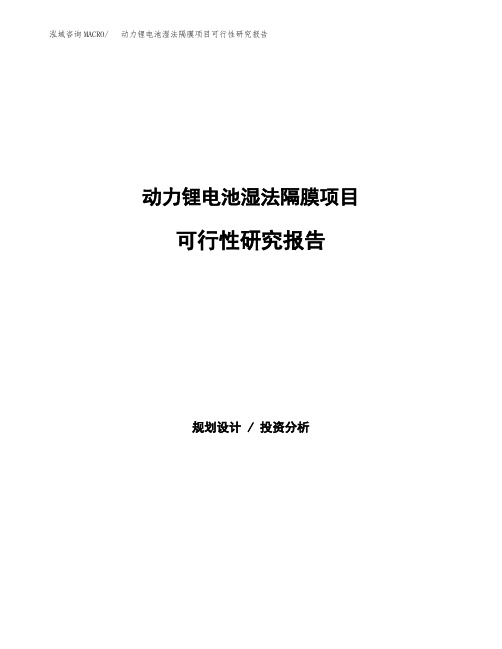 动力锂电池湿法隔膜项目可行性研究报告样例参考模板