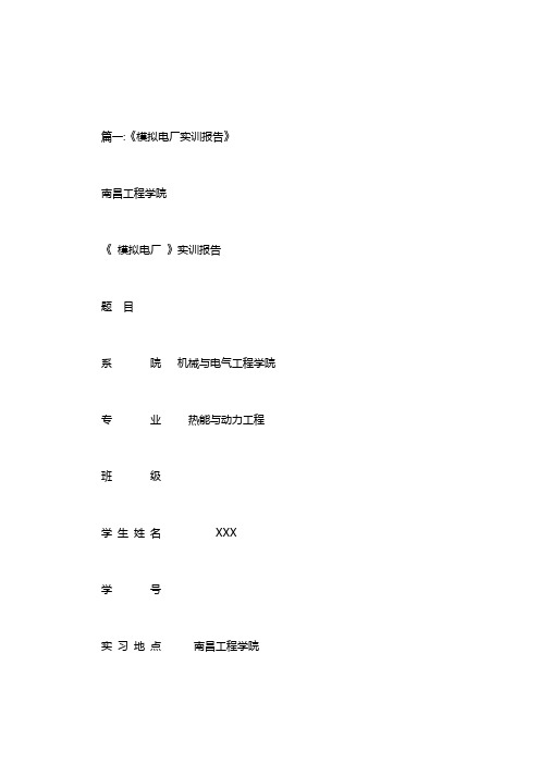 发电厂运行实训报告.doc