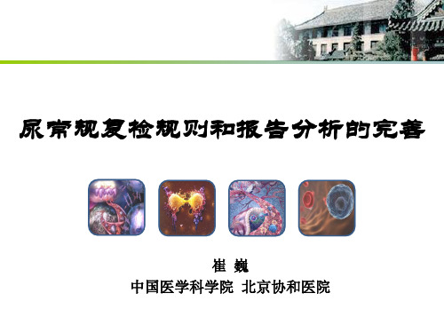 崔巍-自动化尿液常规复检规则案例分析