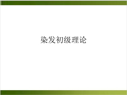 染发初级理论PPT课件