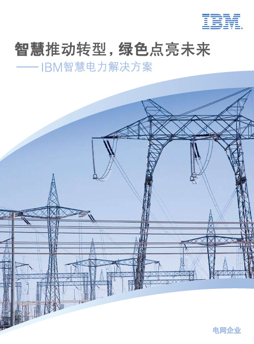 IBM智慧电力解决方案(电网部分)