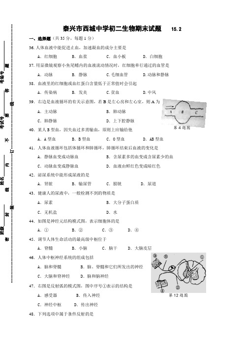 江苏省泰兴市西城中学八年级上学期期末考试生物试题
