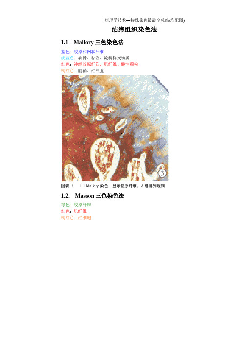 病理学技术—特殊染色最最全总结(均配图)