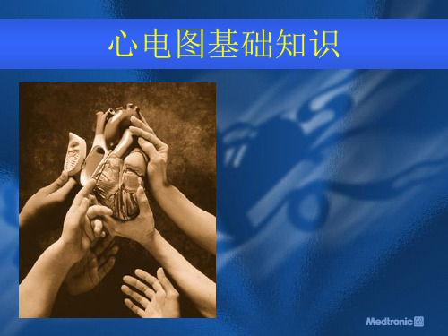 ECG基础知识