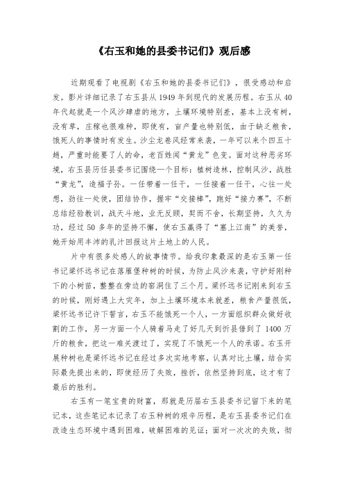 右玉和她的县委书记们观后感