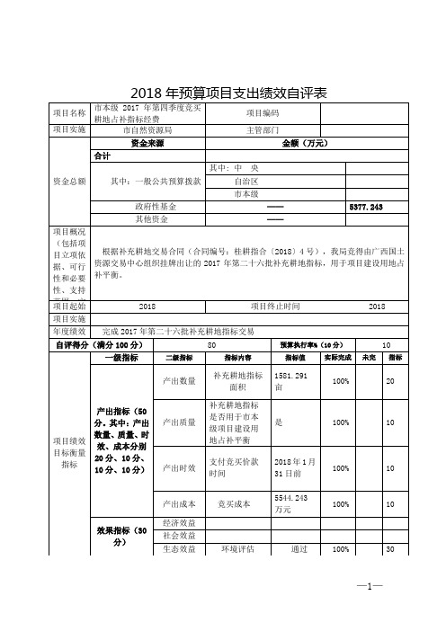 2018年预算项目支出绩效自评表